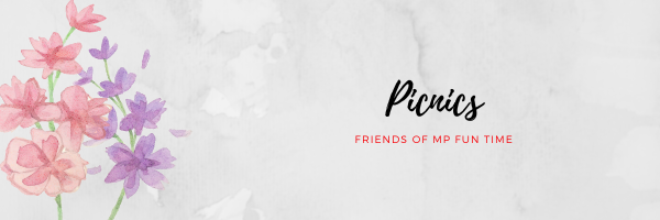 PicnicBanner.png