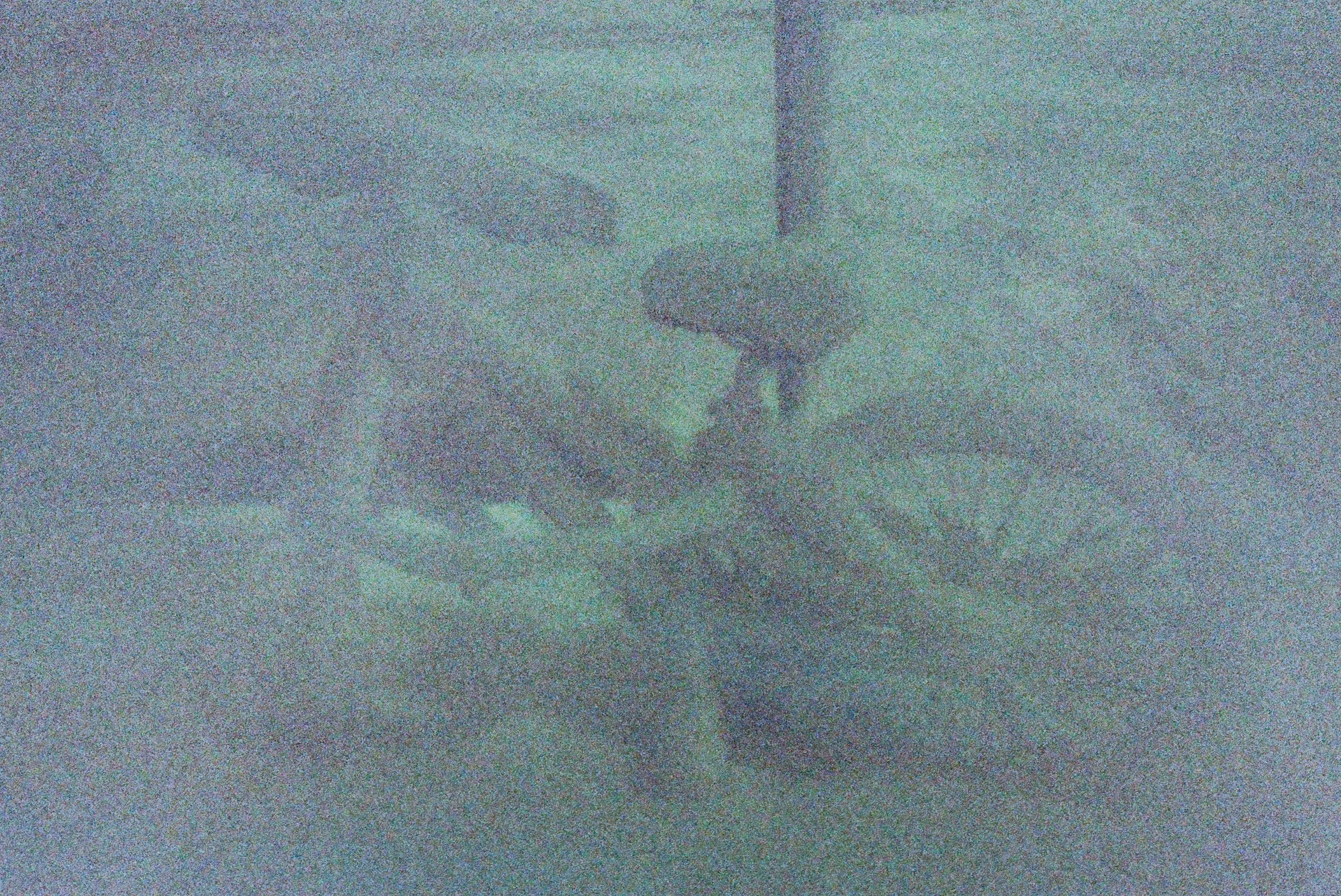 000838150014.jpg