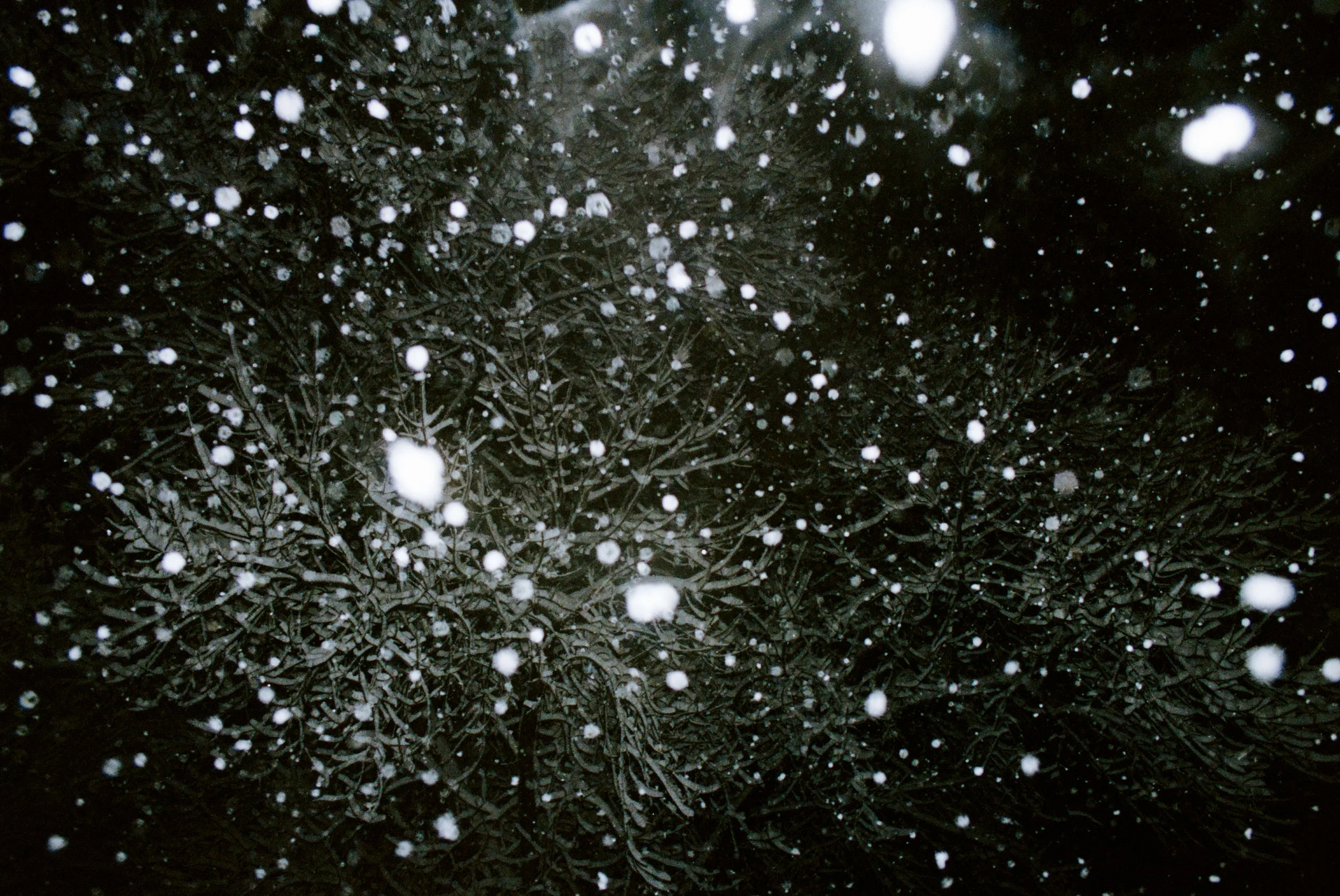 000838150033.jpg
