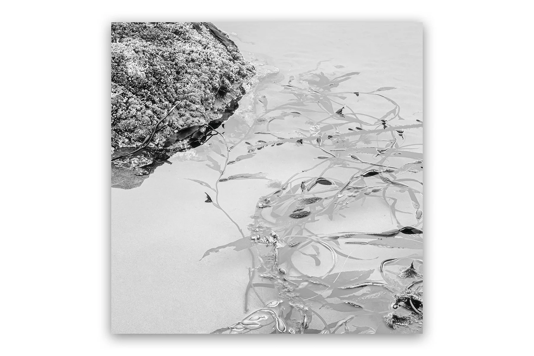 portfolio11.jpg