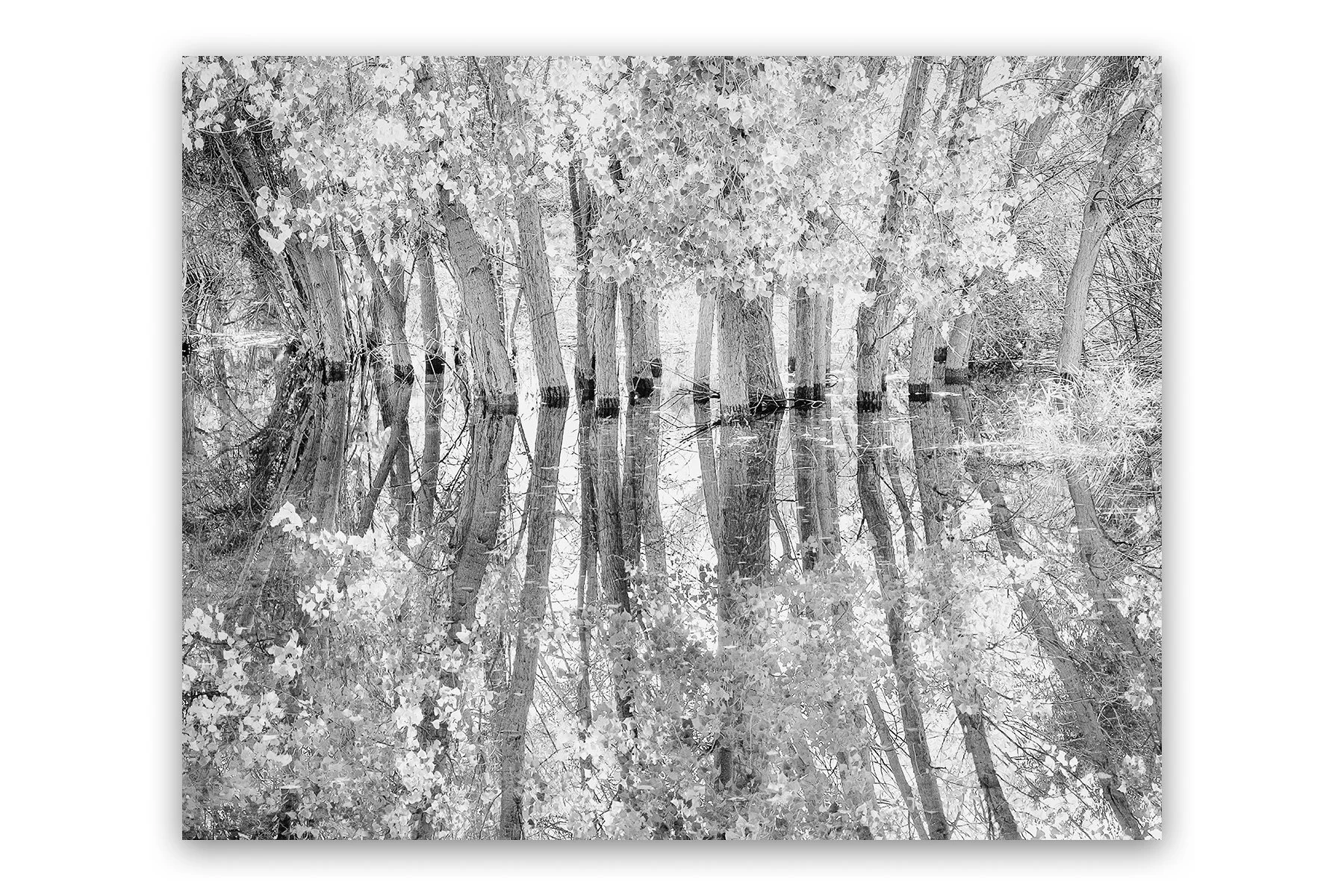 portfolio17.jpg