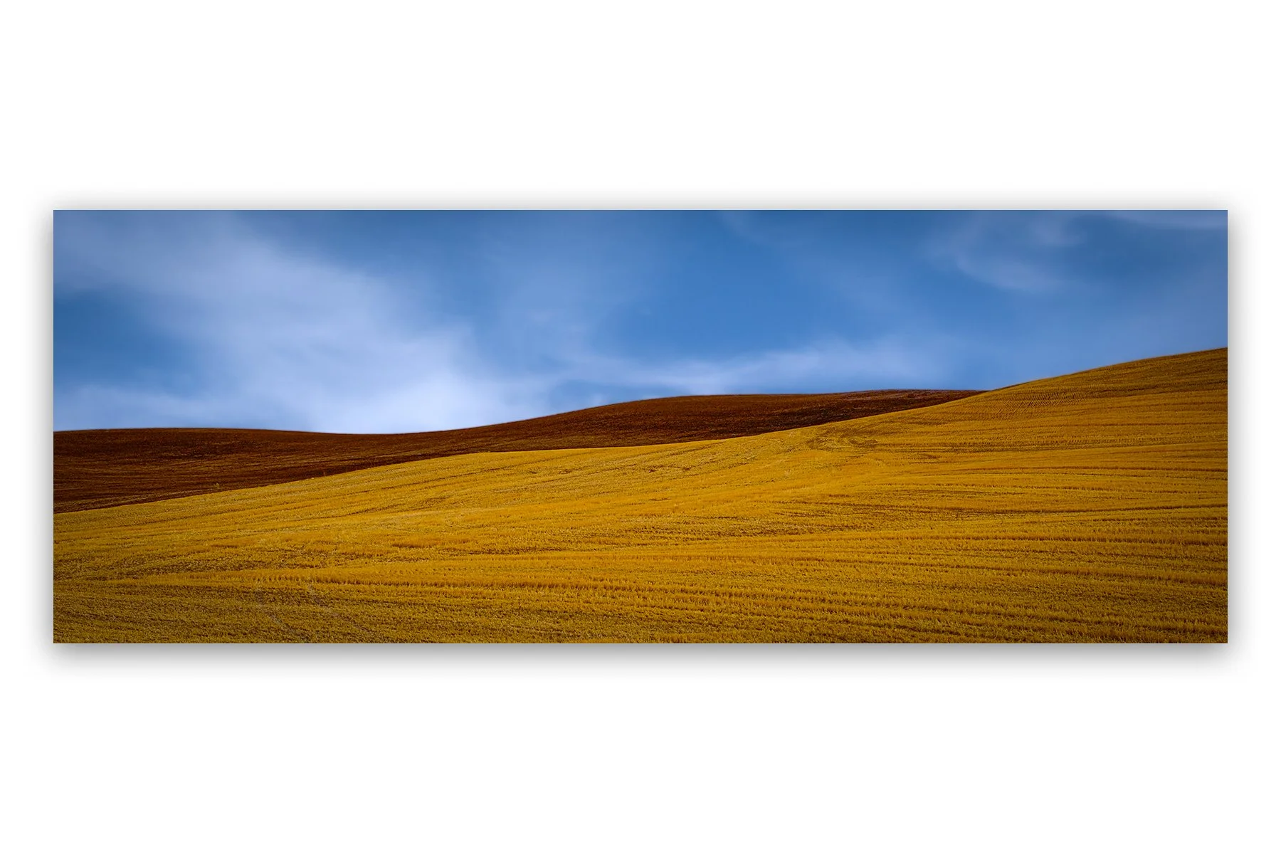 portfolio30.jpg