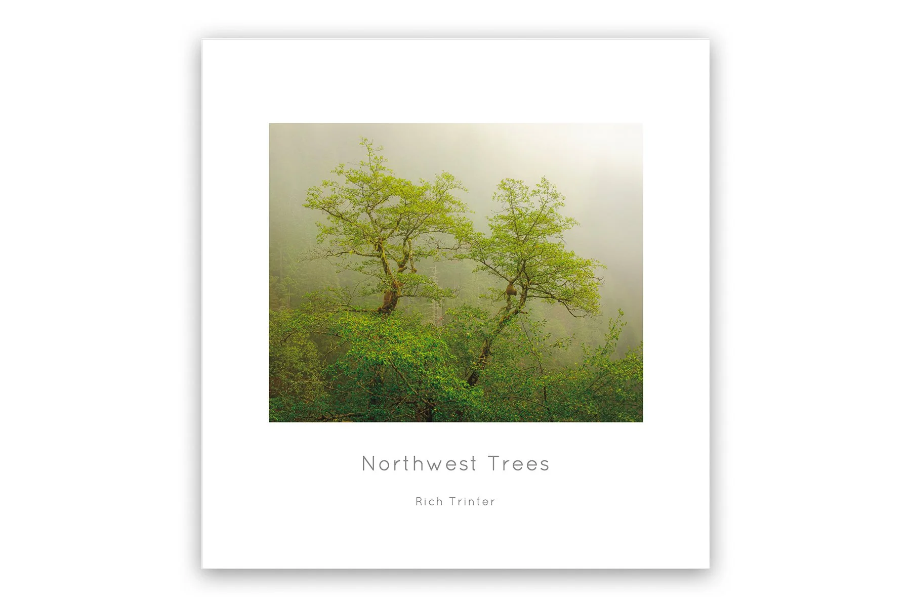 nwtreesfcover.jpg