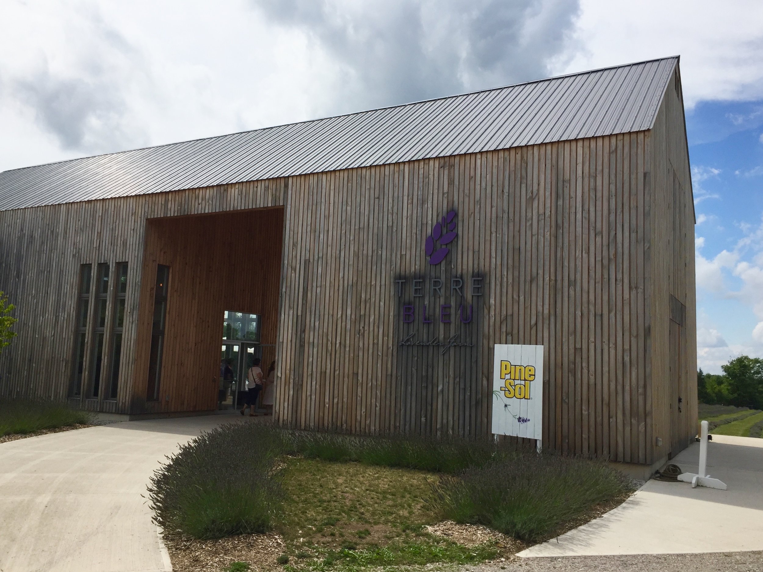  The main building houses a lovely shop and is a fantastic modern barn design. 