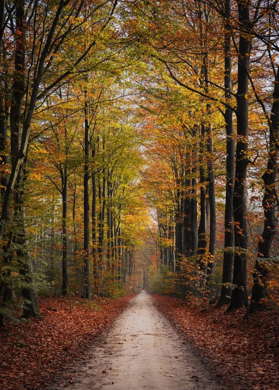 Follow the Darkest Path, Sweet Soul — & Trust That It Will Lead You to New Beginnings