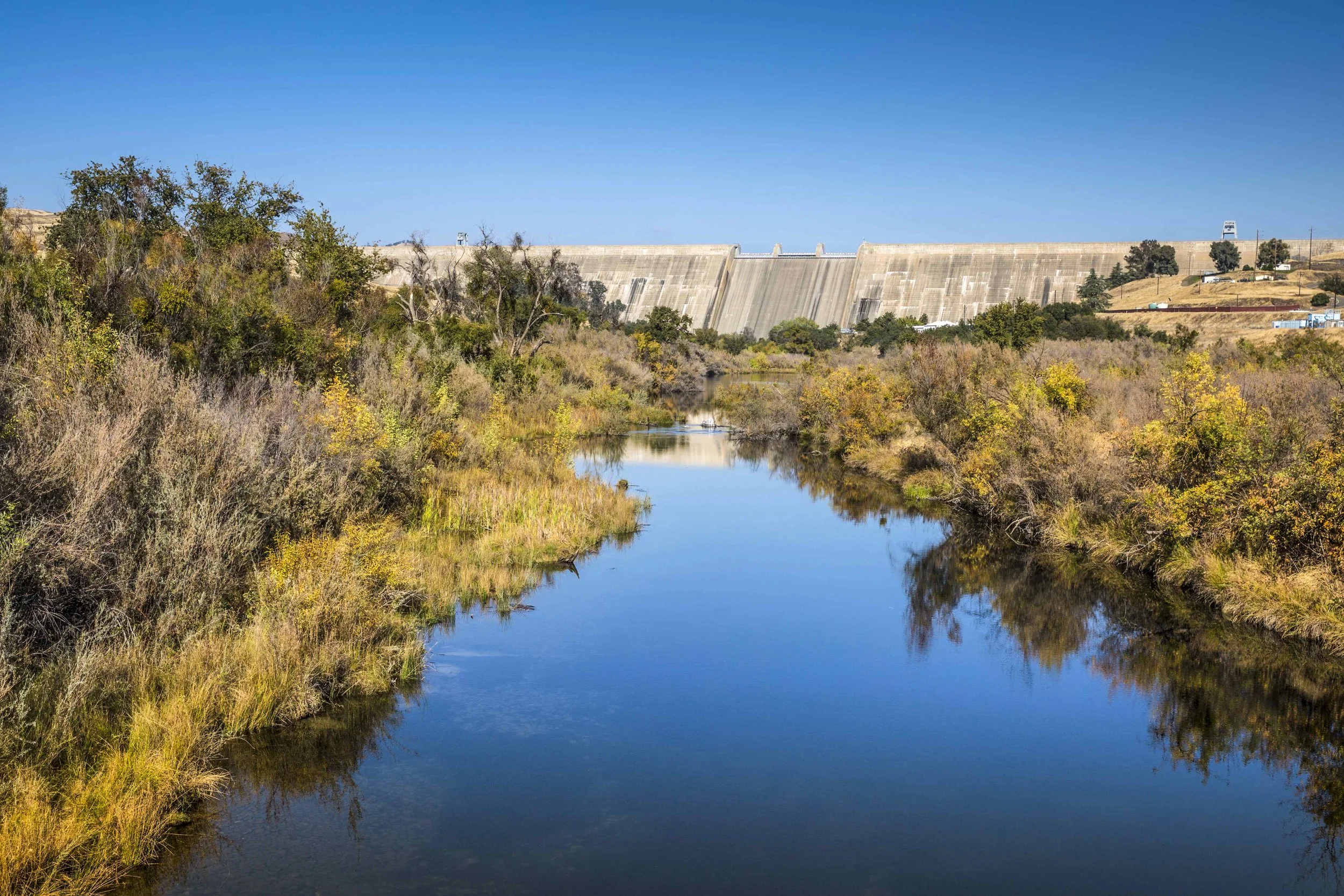 California Drought — Rose Photography
