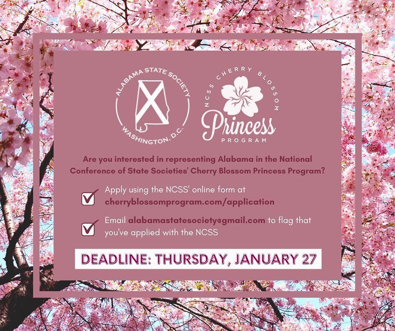 Swipe to learn more about the Cherry Blossom Princess Program. DM us if you have any questions! 🤗