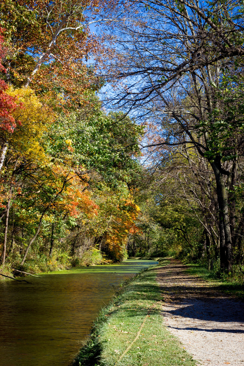 Canal Path