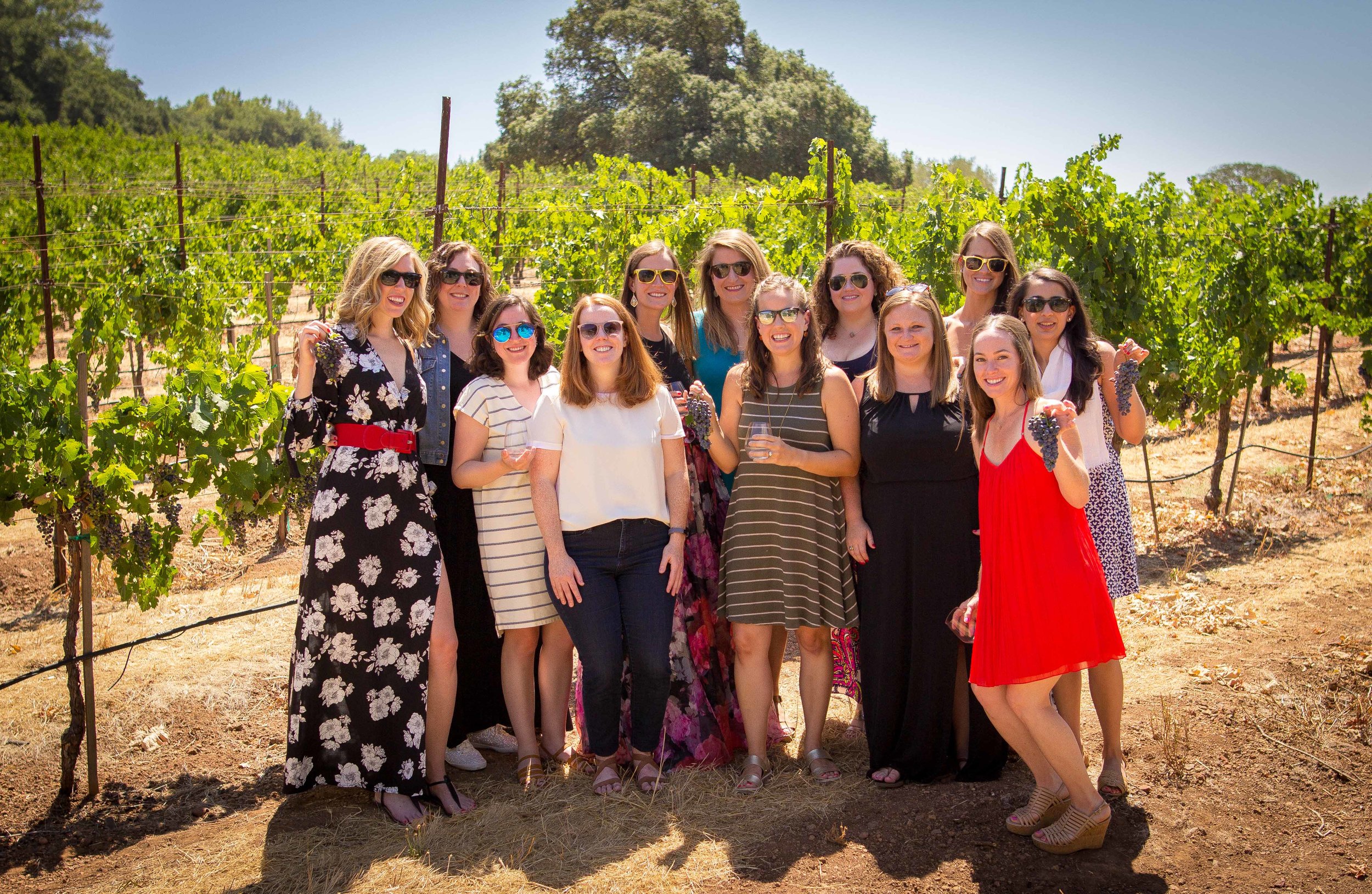 The whole group in the vineyard