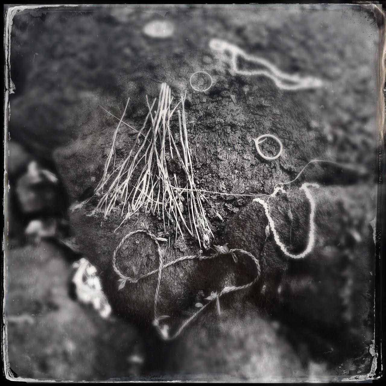Constellation of Twists and Braids | offerings to Pele on the lava flow | Pahoa, Hawaii | February 2015