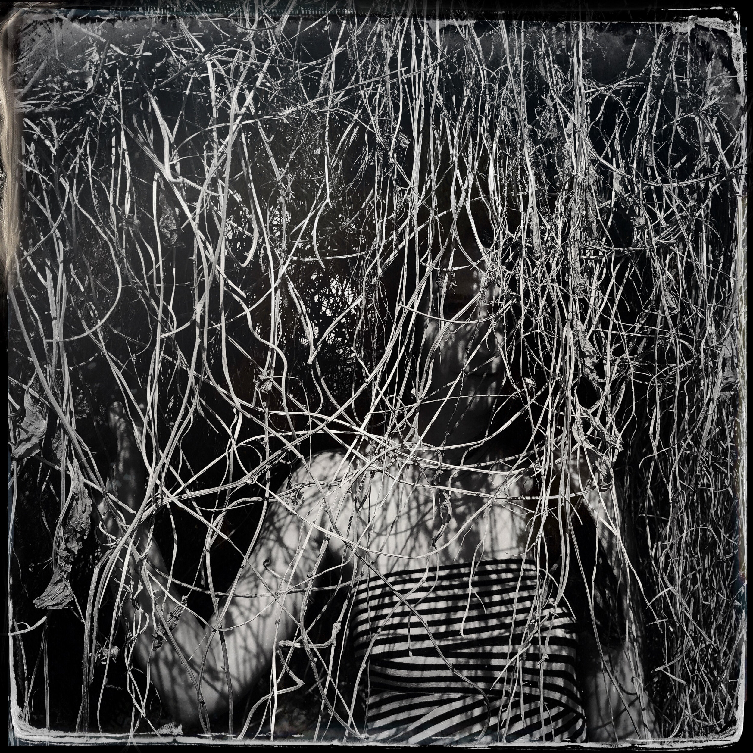 A Bower Is Heard │Jenna underneath the vine veil at Shaxi, Yunnan, China │Collaboration with Douglas Beasley 