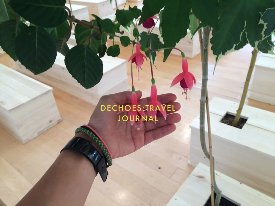 Last month, I stopped into the lovely city of Lyon for a couple of days to see this exhibition: Yoko Ono | Lumière de L’aube at the The Museum of Contemporary Art Lyon . I thought of the shop. Yes, even on holiday, my thoughts go back to you :)