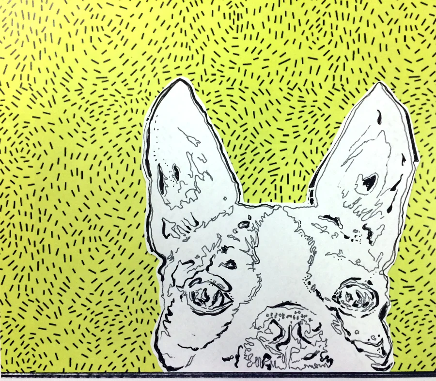 Portrait of Mr. Melvin Colangelo.