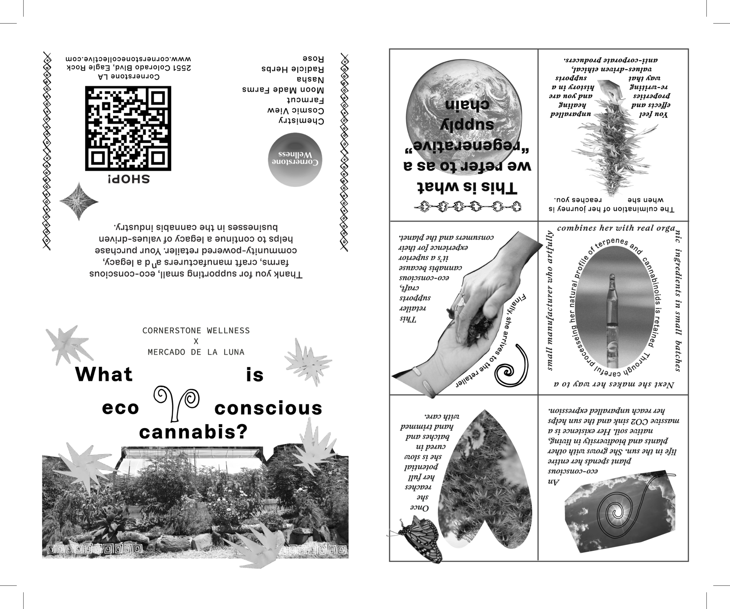 ZINE - INDD RAW .png