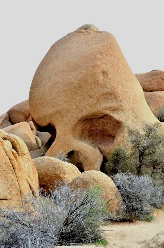 Skull Rock Joshua Tree California USA