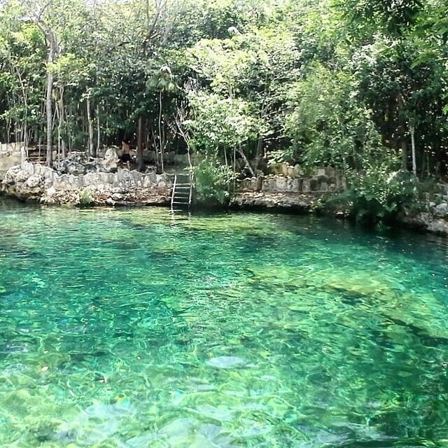 Cenote Casa Tortuga Tulum MEXICO