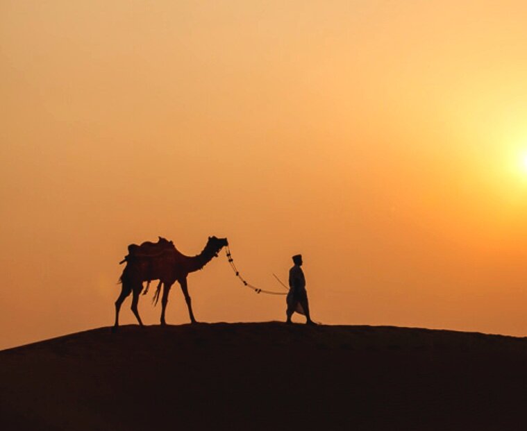 Arabian Desert, Dubai, UAE, Camel Trails
