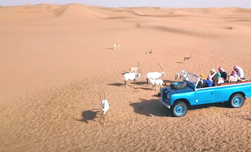 Heritage Desert Safaris, Vintage land rover, Dubai Desert, Dubai UAE, Dubai DesertConservation Reserve, Arabian Oryx, 