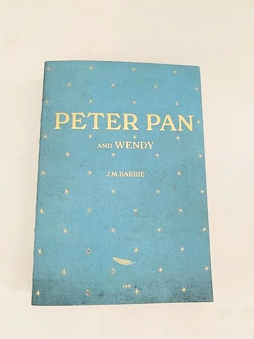 Italian Libri Muti Notebook-Peter Pan