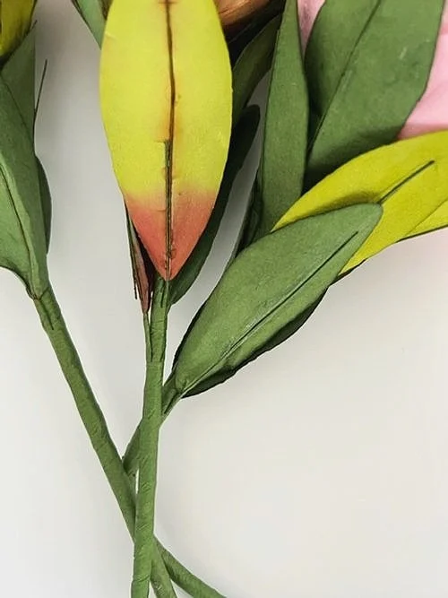 Saa Paper FlowerKing Protea White — ESPLORA