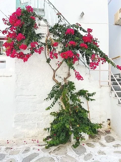 Xinara House Tinos Greece