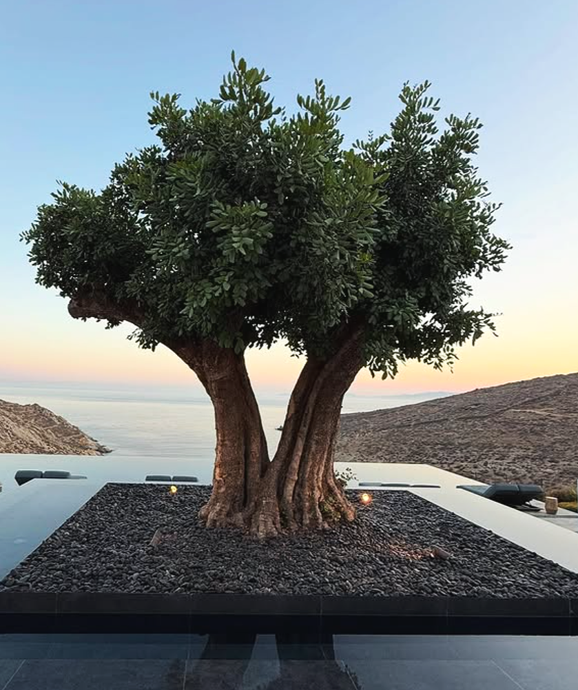 Cycladic architecture at Odera Tinos hotel