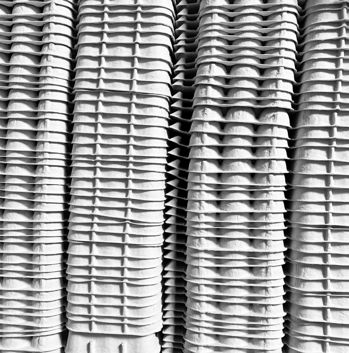 handcrafted chocolate bird eggs (Copy)