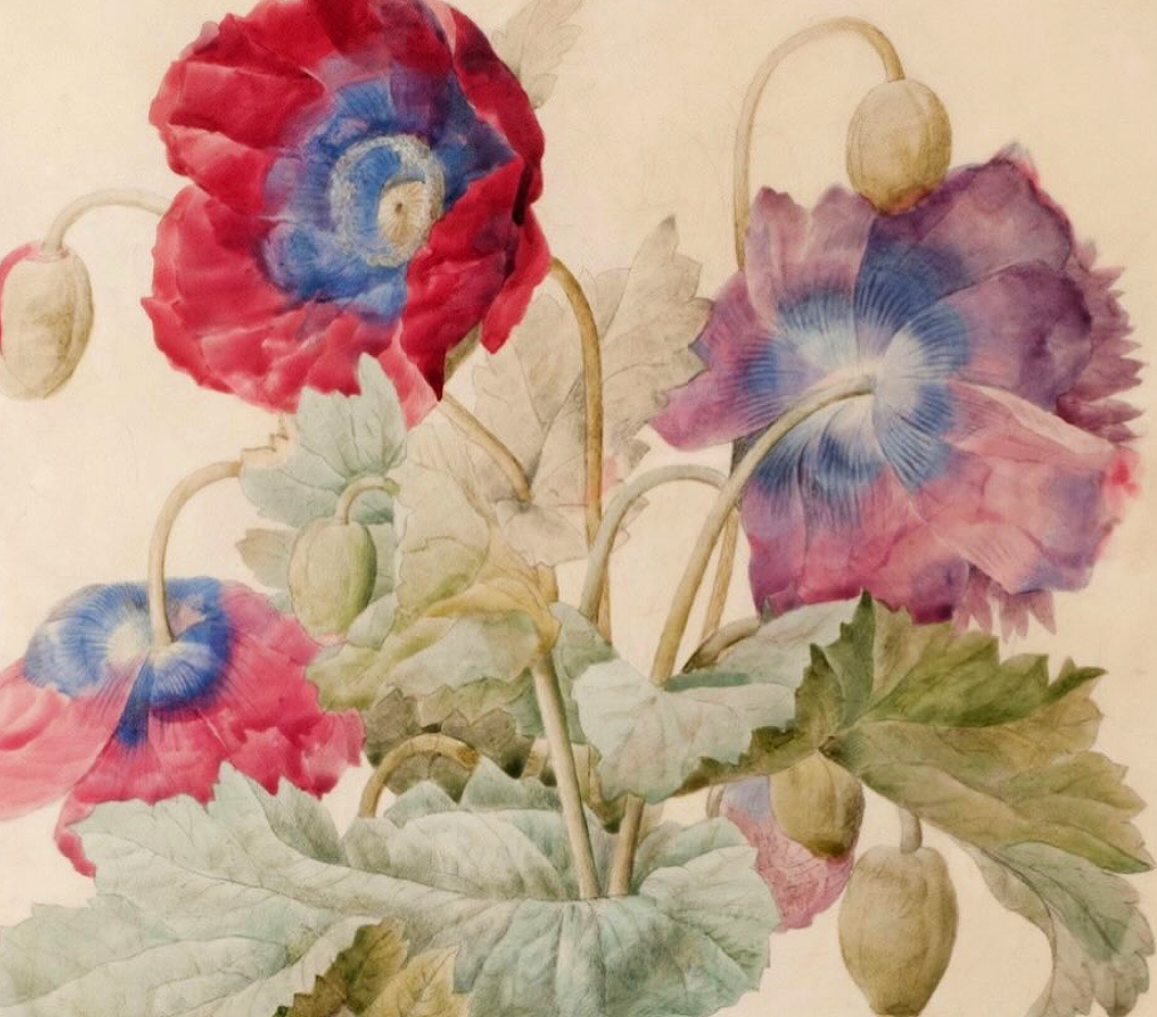 Musee de la vie romantique