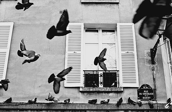 A Morning in Montmartre