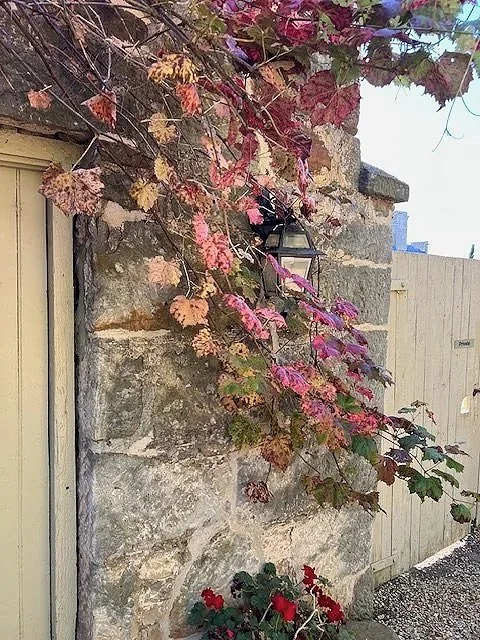 Pooley Wines Tasmania