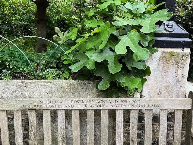 St Paul’s Church garden in Covent Garden in July