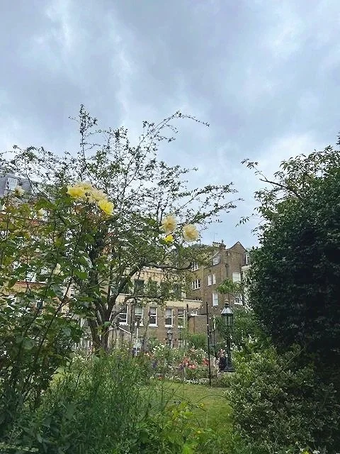 St Paul’s Church garden in Covent Garden in July