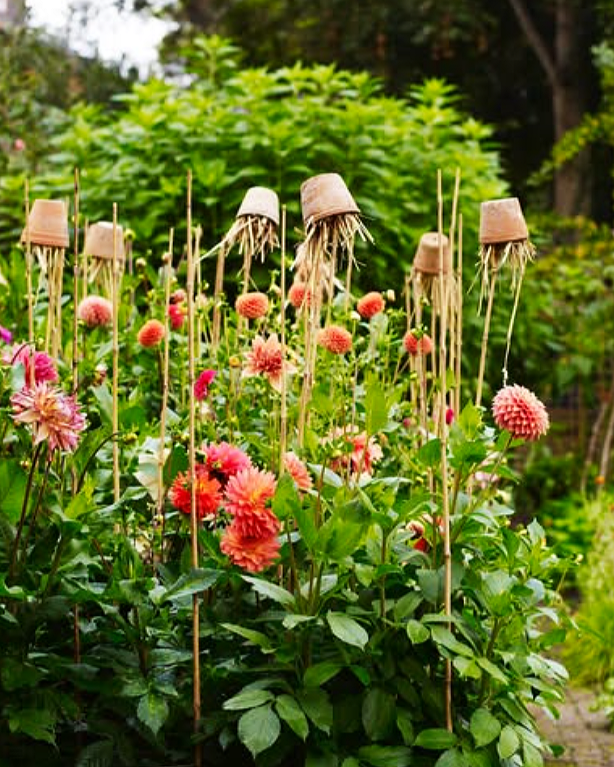 Henrietta Experimental Hotel on Henrietta Street in Covent Garden