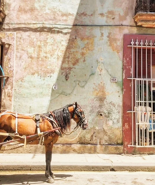 Havana's street scene