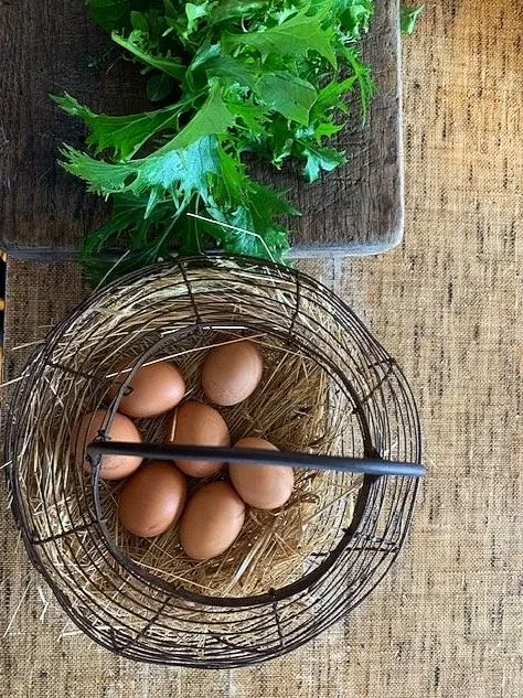 Chef‑prepared long lunch on Satellite Island featuring fresh Tasmanian produce