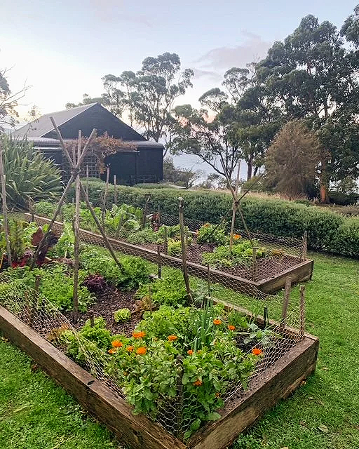 Chef‑prepared long lunch on Satellite Island featuring fresh Tasmanian produce