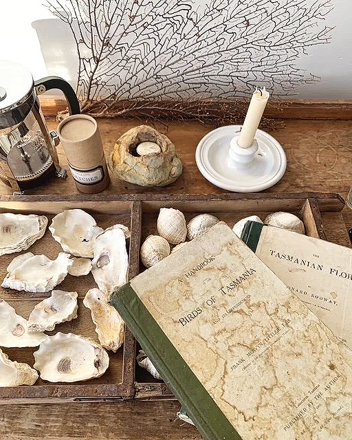 Relaxed luxury interiors on Satellite Island blending comfort and wilderness