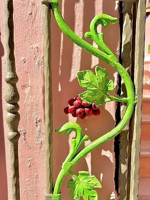 Exploring Plaka Athens