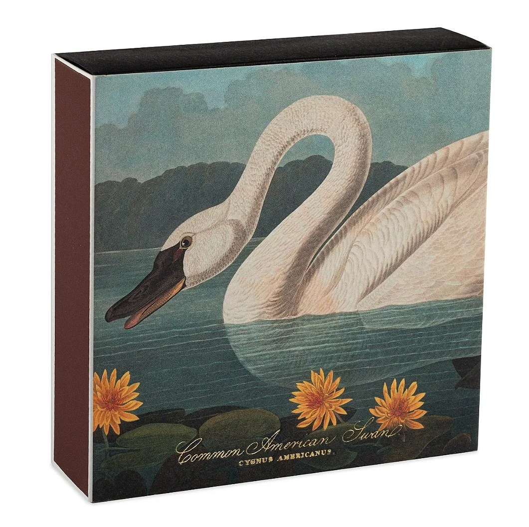 Archivist The Common American Swan by Audubon| Square - Safety Matches