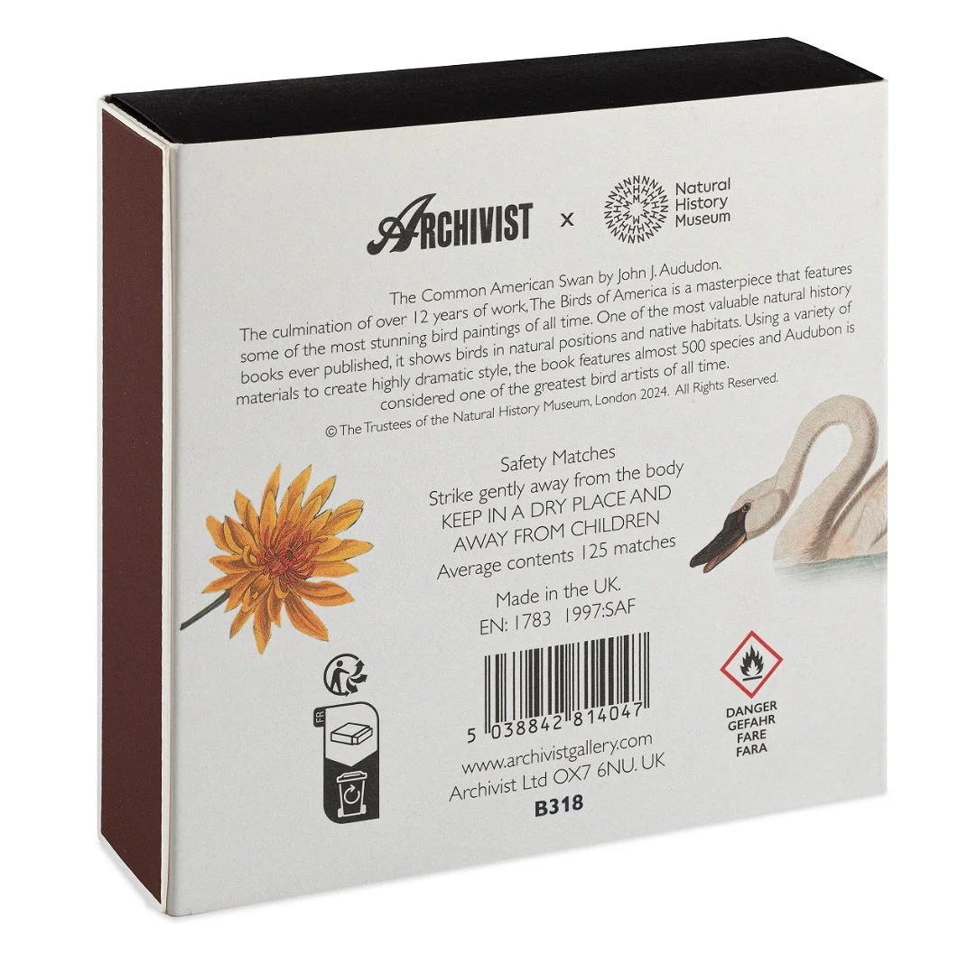 Archivist The Common American Swan by Audubon| Square - Safety Matches
