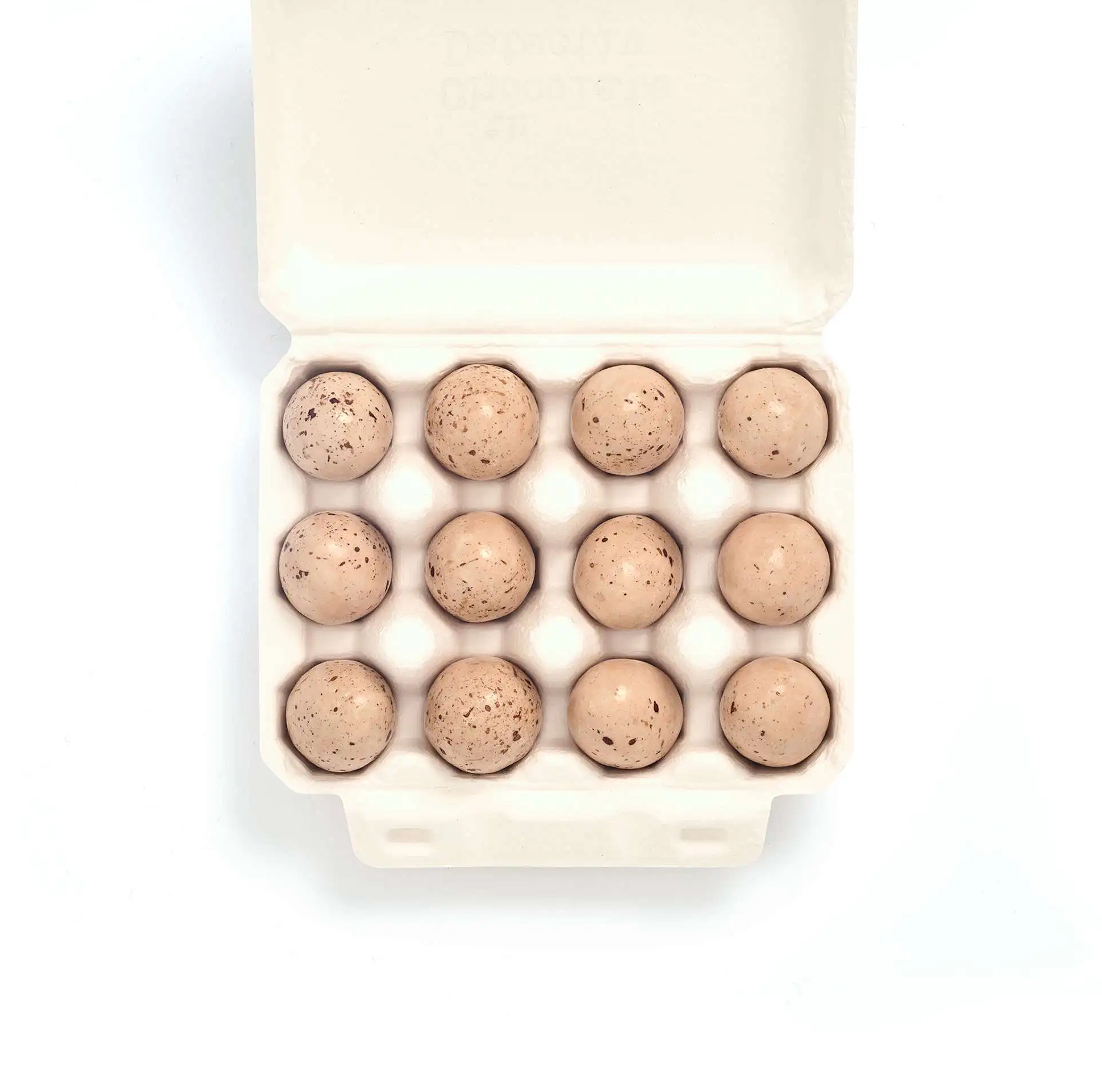 12 Handcrafted Chocolate Bird Eggs-Stork