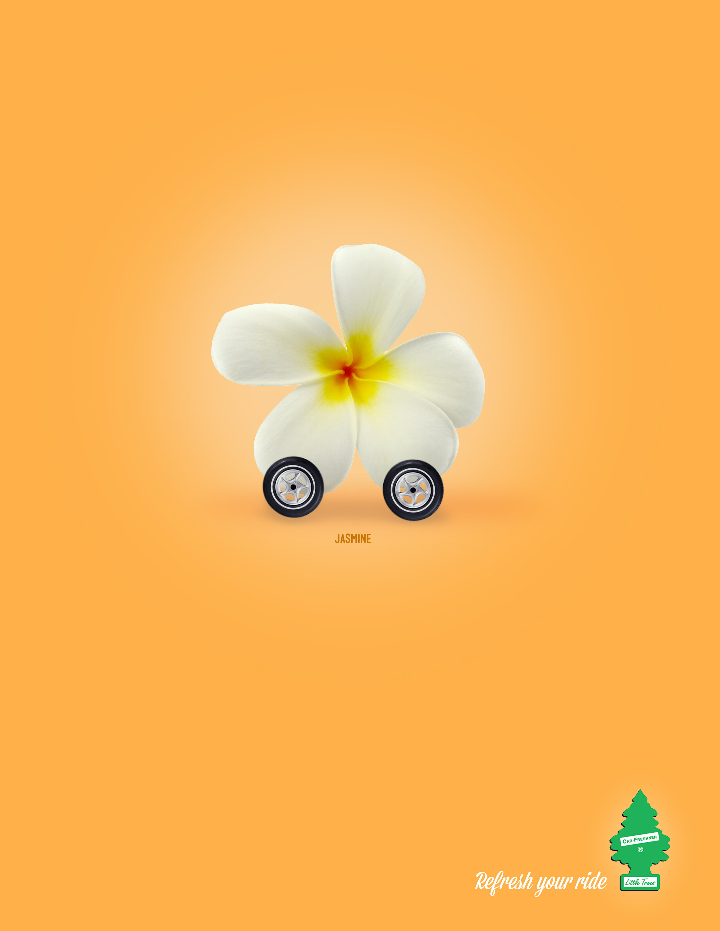 littletrees_fyrjasmine_042213.jpg