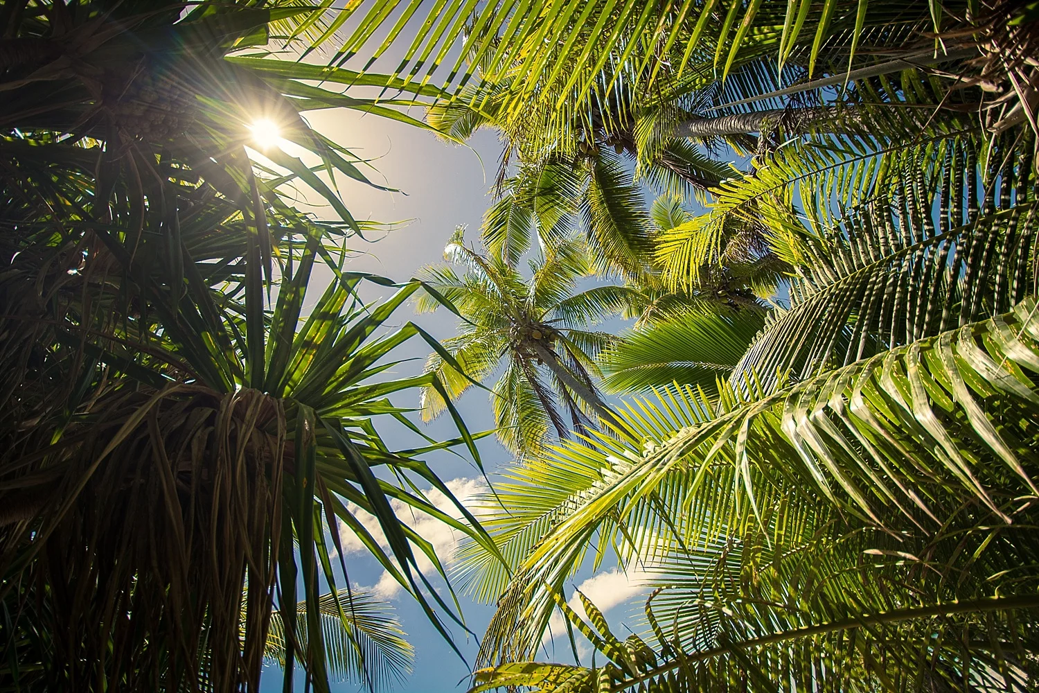 OuveaNewCaledoniaByGroovyBanana_0032.jpg