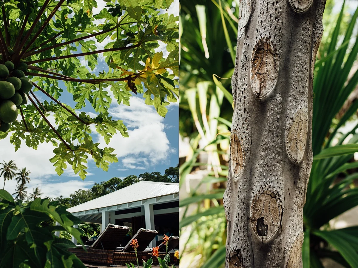 jade-tim-wedding-the-moso-vanuatu-groovy-banana_0002.jpg