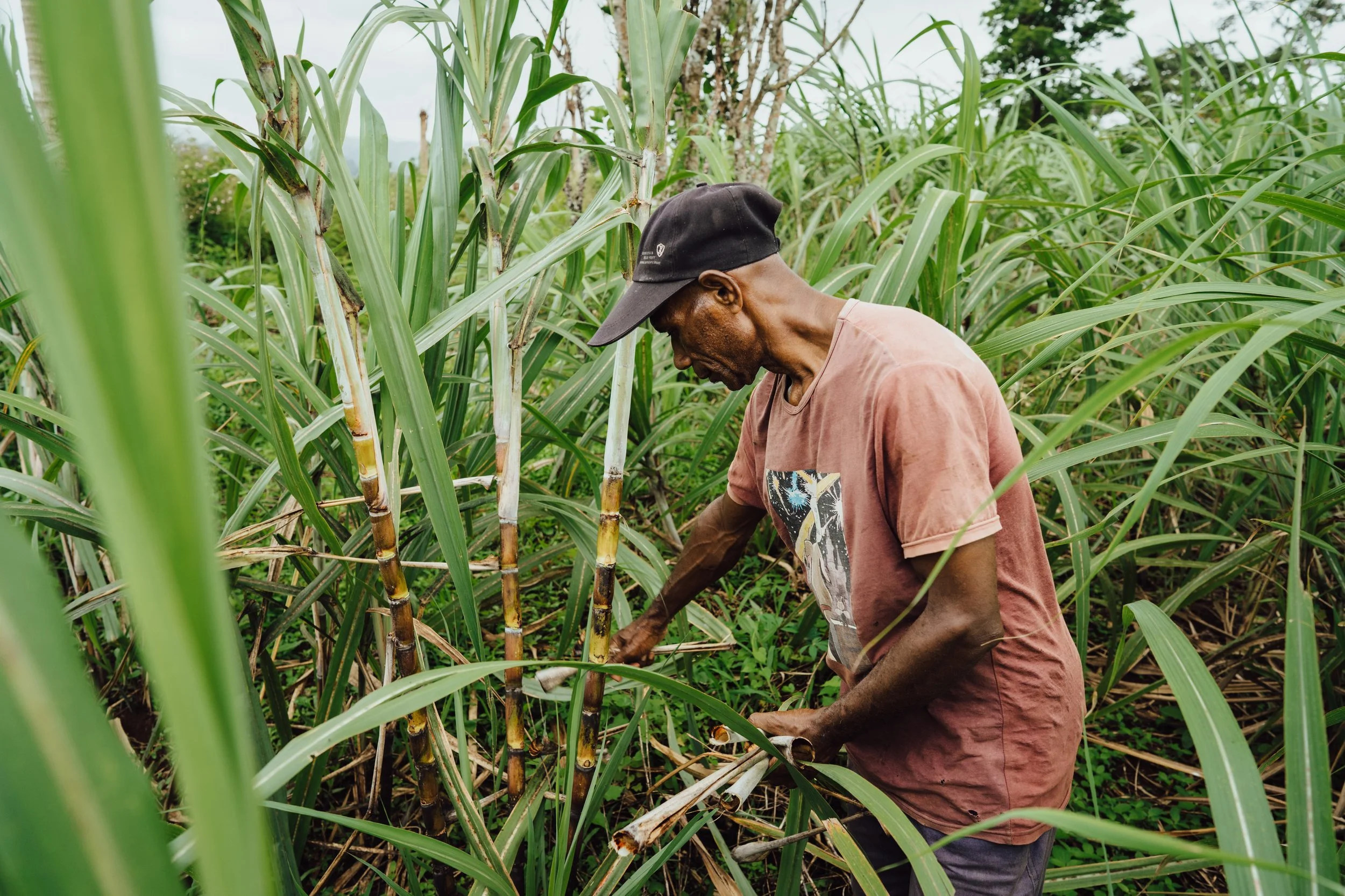 VanuatuMade2025-print-13.jpg