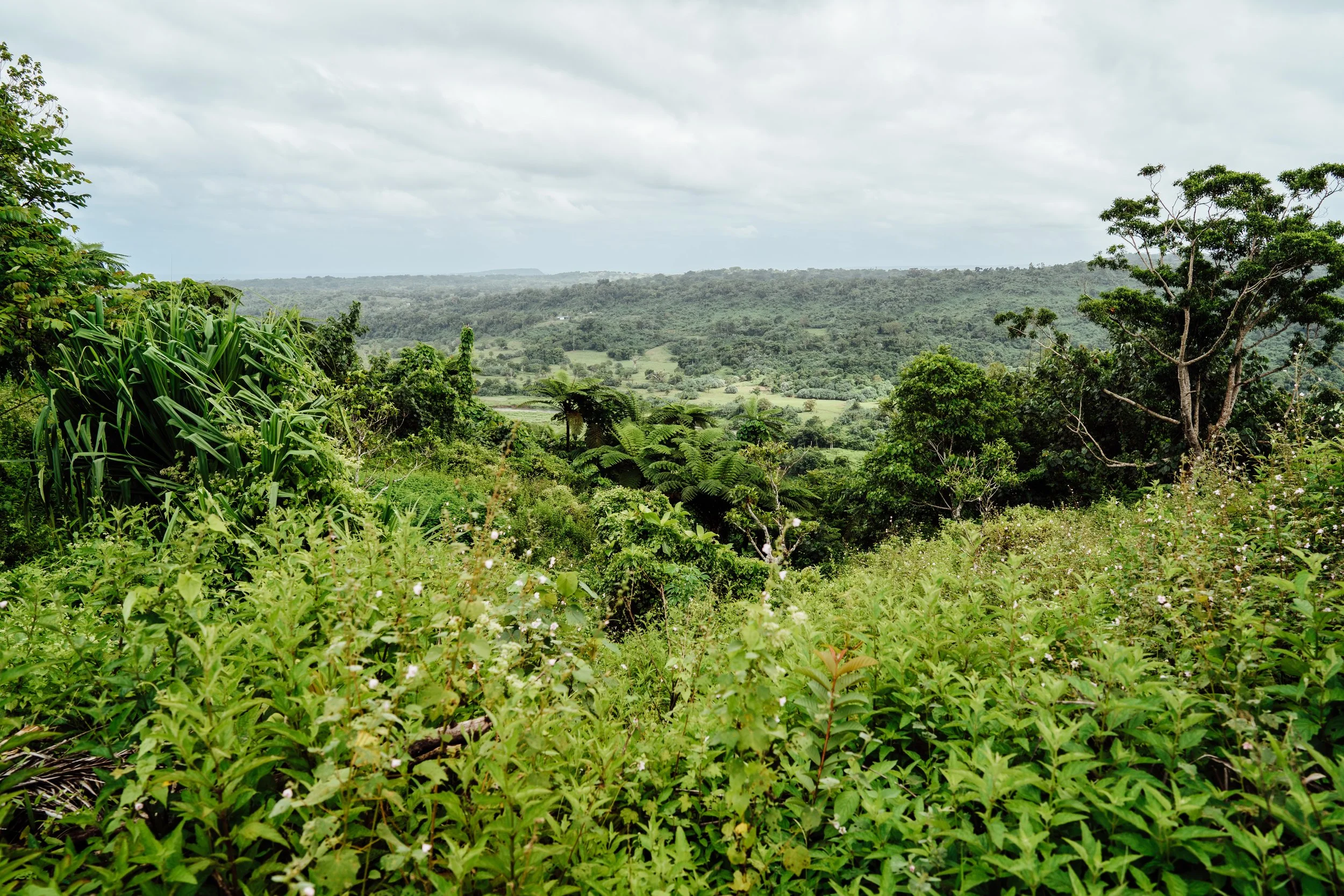 VanuatuMade2025-print-12.jpg