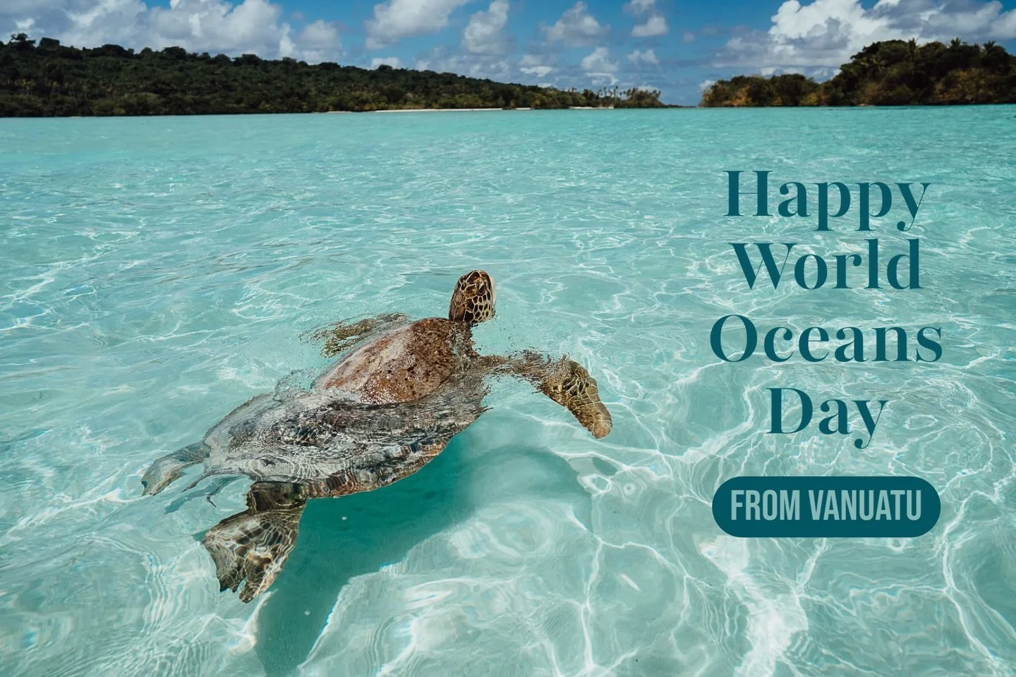 Celebrating Oceans Day with these 2 beauties spotted in Vanuatu 🇻🇺🤩🐢🧜&zwj;♀️
.
📍 First pic is at Hog island during the &ldquo;Malo blue hole&rdquo; tour offered by @ratuaislandresort (Santo) and second one is at Honeymoon Beach (on Efate island