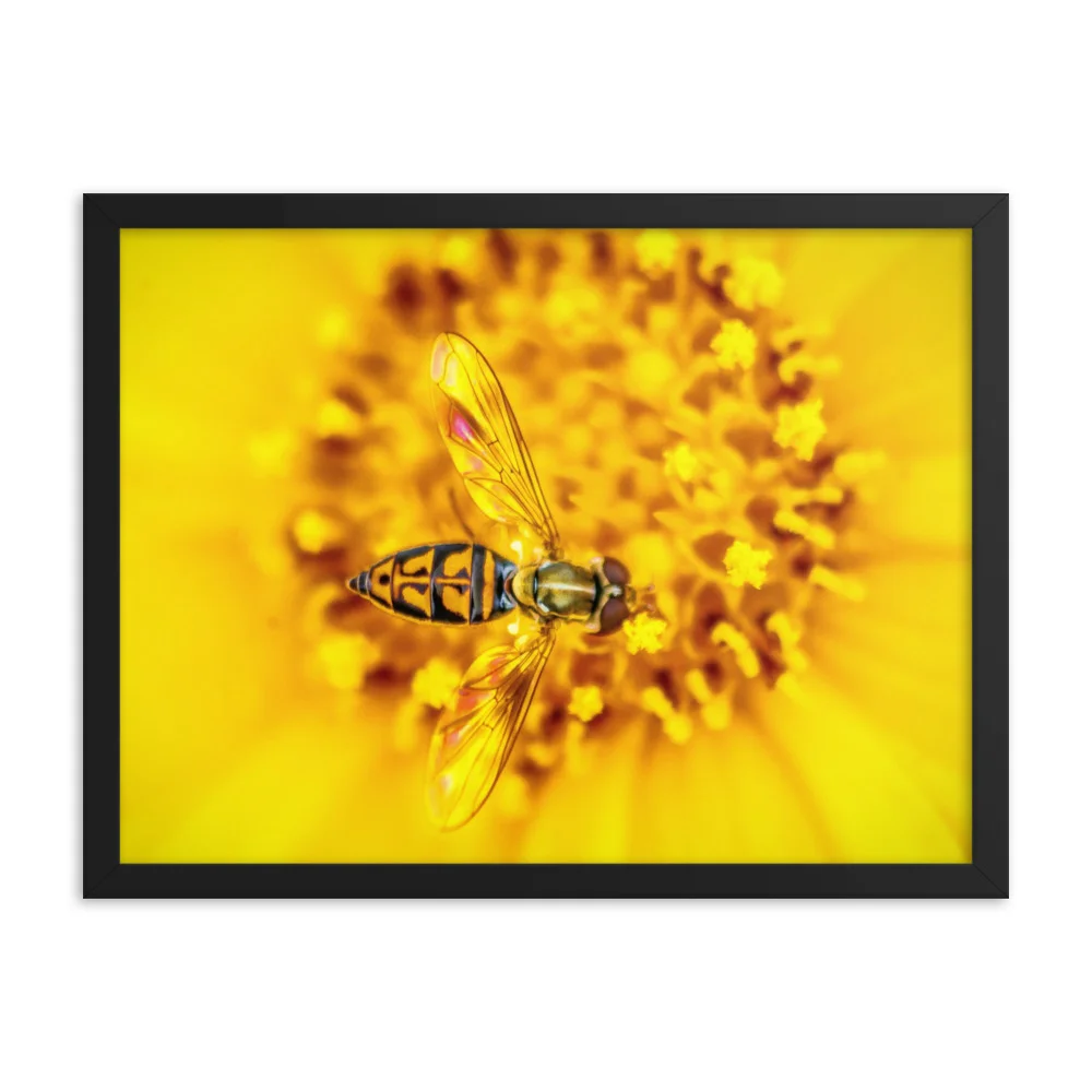 macro_photography_21_mockup_Transparent_Transparent_18x24.jpg