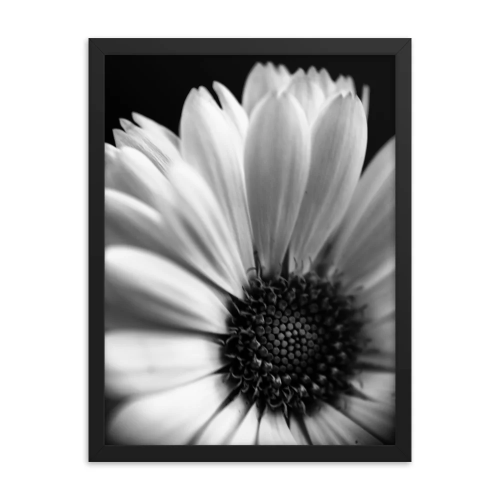 macro_photography_31_mockup_Transparent_Transparent_18x24.jpg