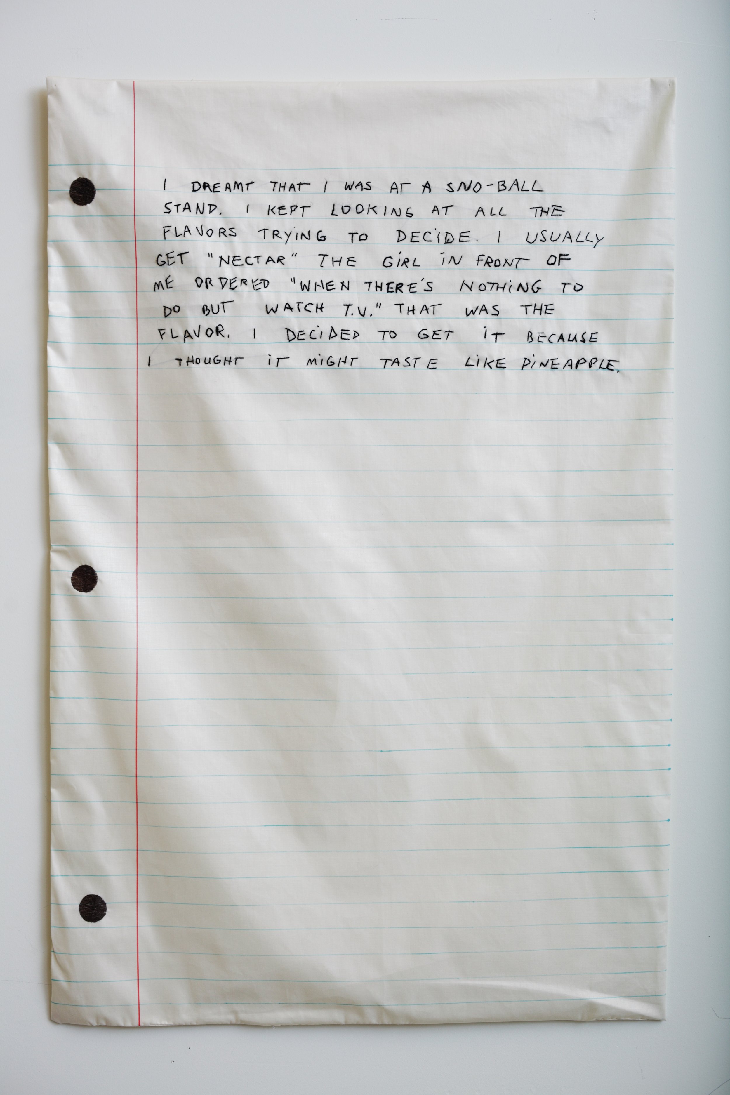 Sno-Ball Dream, 2012                                                                                                     38″ x 24″, acrylic yarn and marker on polished cotton